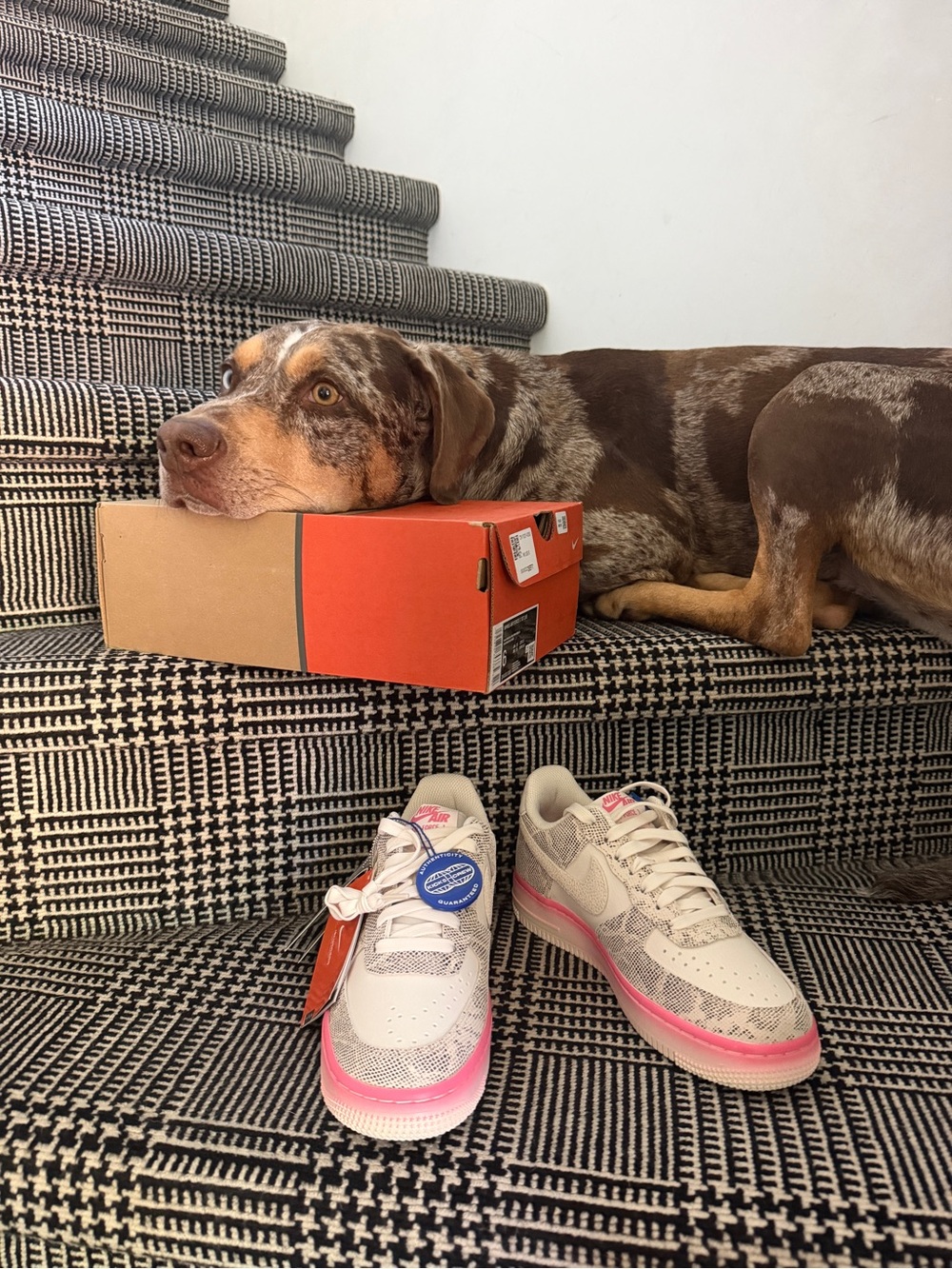 Nike Air Force 1 low “our force 1” DV1031-030